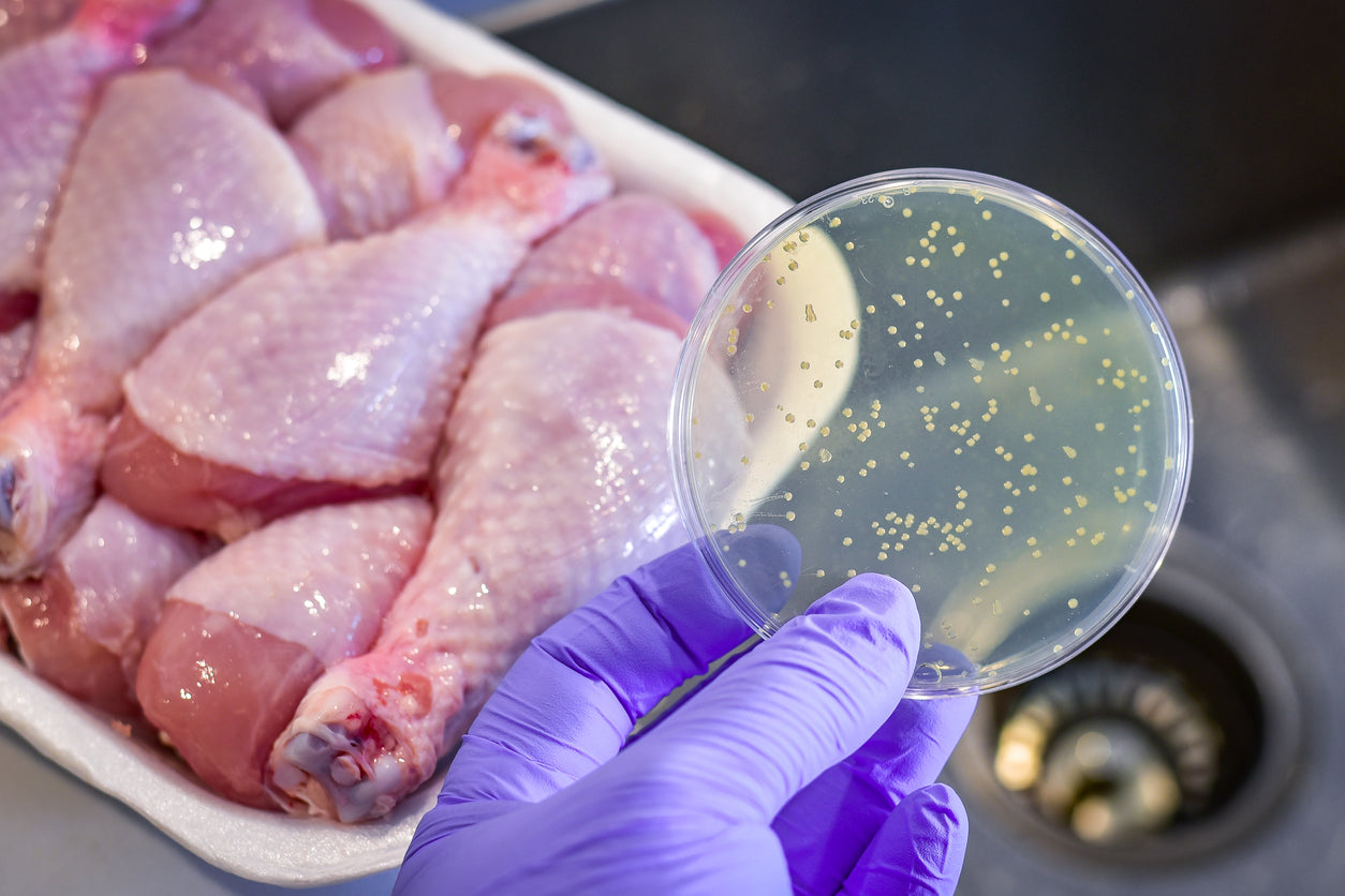 Gesundheitszeugnis für Lebensmittelhygiene